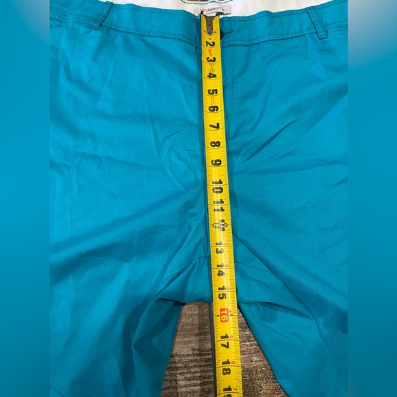 🩵LIZ CLAIBORNE Flexi-Fit Waistband Turquoise Cotton Shorts Plus Size 24W NWT🩵 - Picture 3 of 9